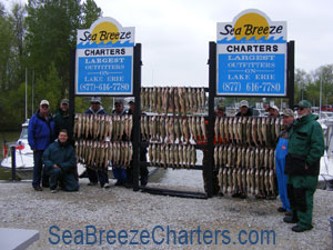 Dockside Walleye Board 3